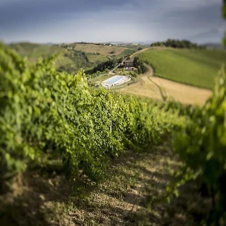 Apartment Enticing In With Swimming Pool Ascoli Piceno