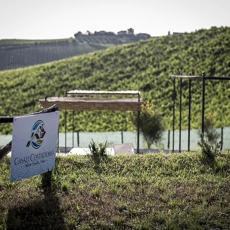 Enticing In With Swimming Pool