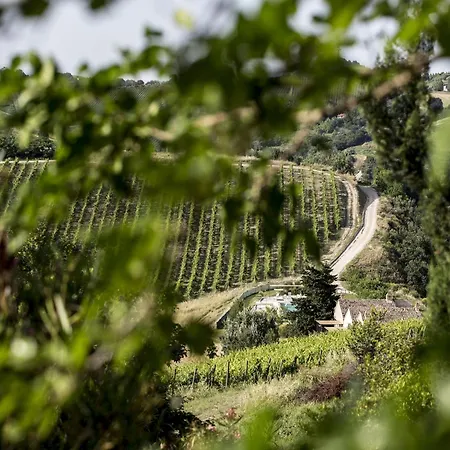 Enticing In With Swimming Pool *