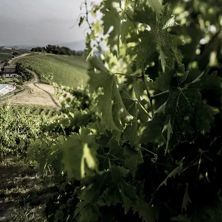 Apartment Enticing In With Swimming Pool