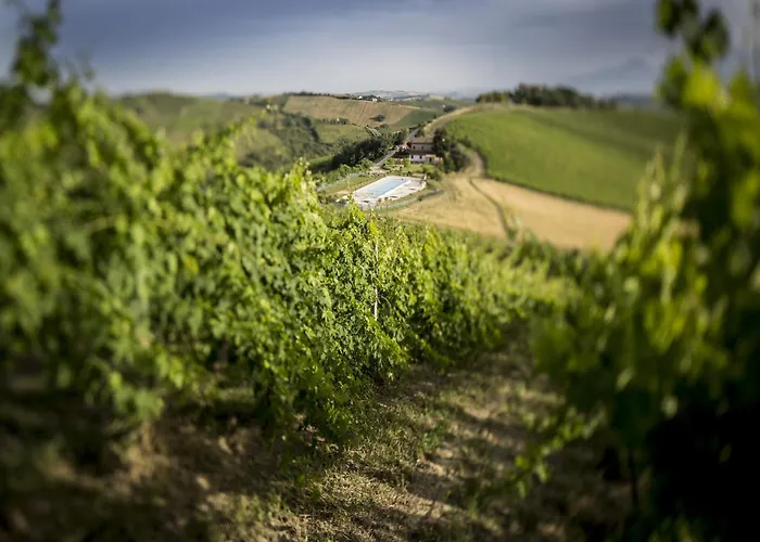 Enticing In With Swimming Pool