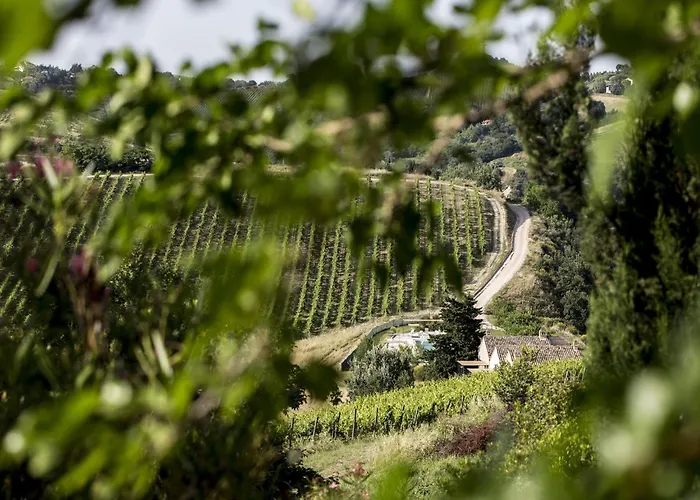 Enticing In With Swimming Pool *