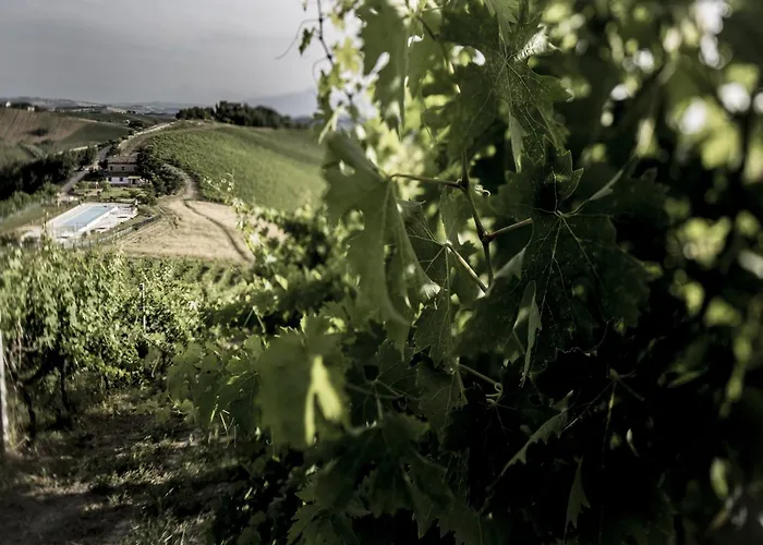 Apartment Enticing In With Swimming Pool